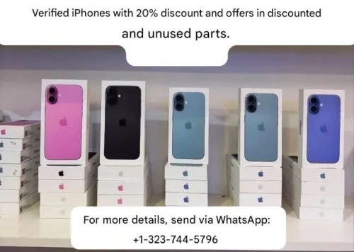 1752225686565_e9879f40a5f261f91d456ad54f11f1f5.webp